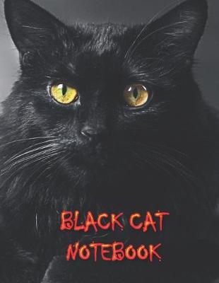 Book cover for Black Cat Notebook