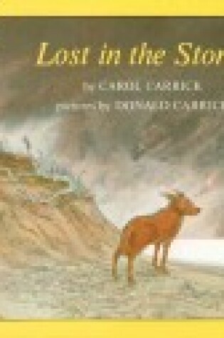 Cover of Lost in the Storm Rnf