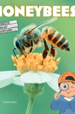 Cover of Honeybees