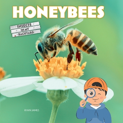 Book cover for Honeybees