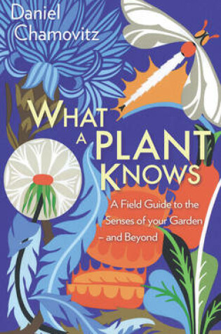 Cover of What a Plant Knows