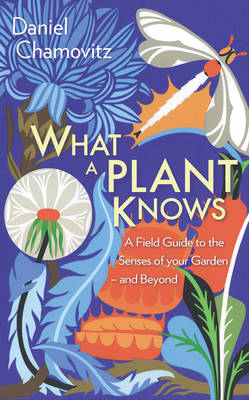 Book cover for What a Plant Knows