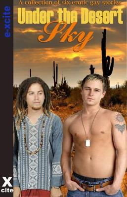 Book cover for Under the Desert Sky