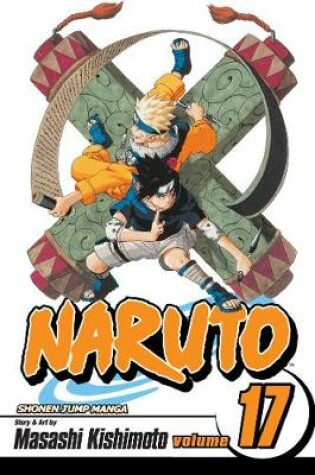 Cover of Naruto, Vol. 17