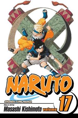 Book cover for Naruto, Vol. 17