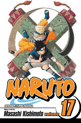 Book cover for Naruto, Vol. 17