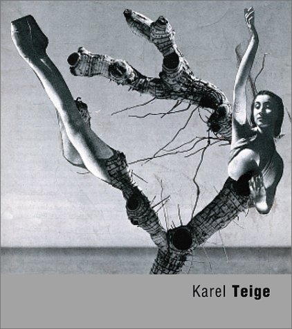 Book cover for Karel Teige