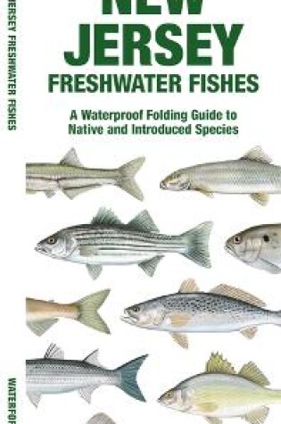 Cover of New Jersey Freshwater Fishes