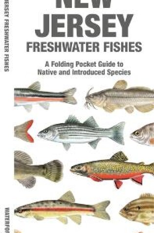 Cover of New Jersey Freshwater Fishes