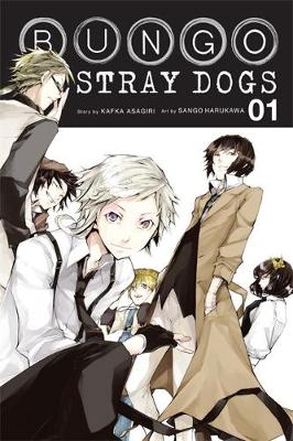 Book cover for Bungo Stray Dogs, Vol. 1