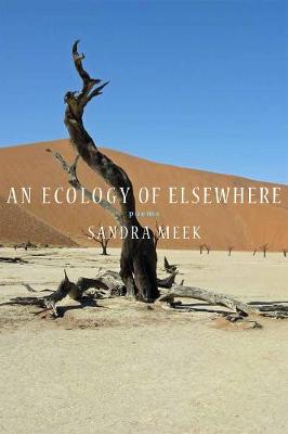 Cover of An Ecology of Elsewhere