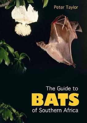 Book cover for Bats of Southern Africa