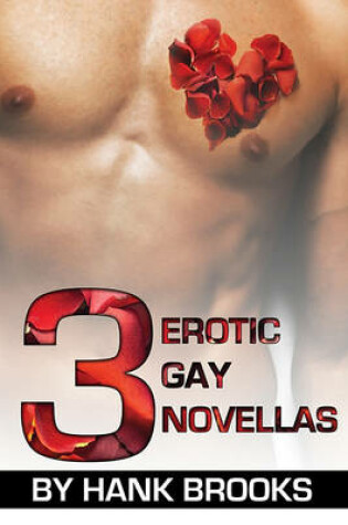 Cover of 3 Erotic Gay Novellas