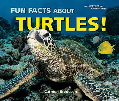 Book cover for Fun Facts about Turtles!