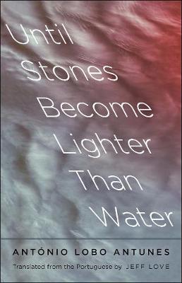 Book cover for Until Stones Become Lighter Than Water