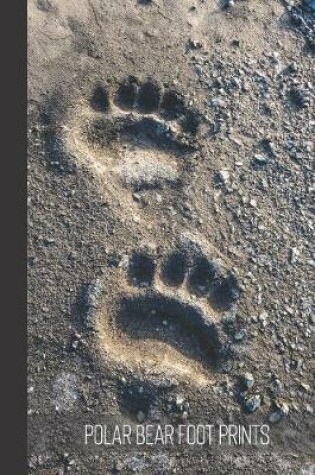 Cover of Polar Bear Foot Prints