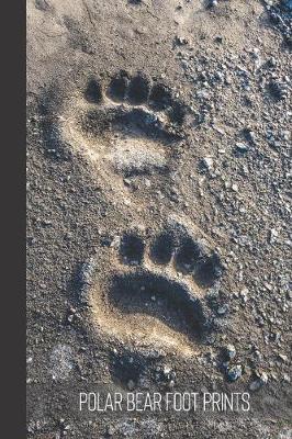 Book cover for Polar Bear Foot Prints