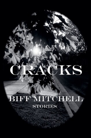 Cover of Cracks