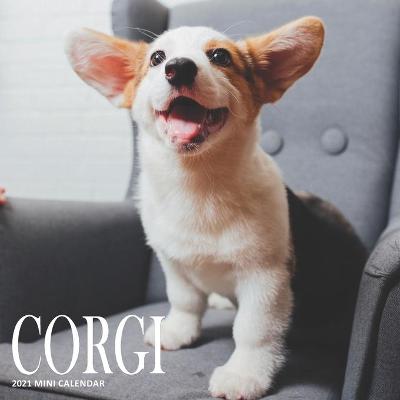 Book cover for Corgi