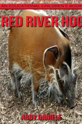 Cover of Red River Hog! an Educational Children's Book about Red River Hog with Fun Facts & Photos