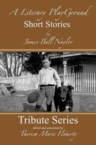 Cover of A Literary Playground - Short Stories