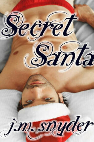 Cover of Secret Santa