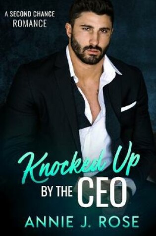 Cover of Knocked Up by the CEO