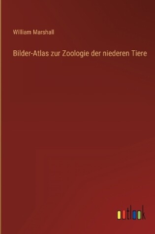 Cover of Bilder-Atlas zur Zoologie der niederen Tiere