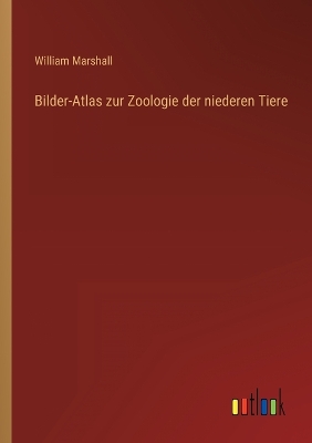 Book cover for Bilder-Atlas zur Zoologie der niederen Tiere