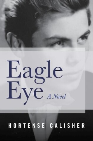 Cover of Eagle Eye