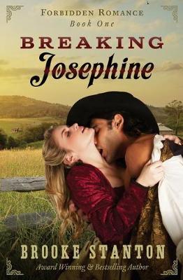 Book cover for Breaking Josephine