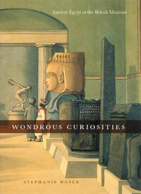 Book cover for Wondrous Curiosities