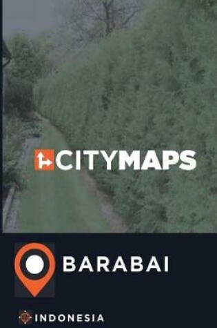 Cover of City Maps Barabai Indonesia