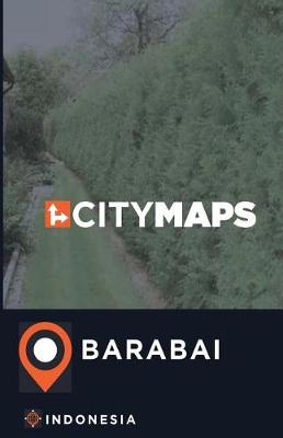 Book cover for City Maps Barabai Indonesia