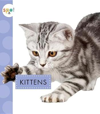 Book cover for Kittens