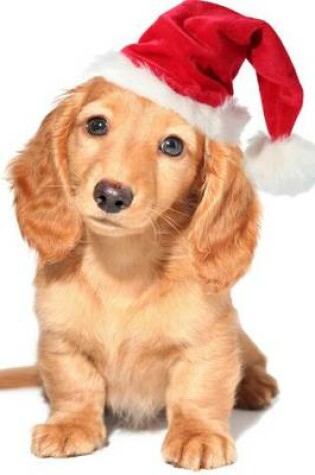 Cover of Miniature Dachshund Puppy in a Santa Hat