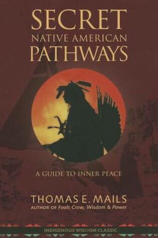 Cover of Native American Pathways