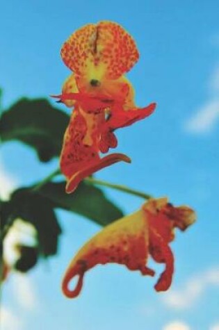 Cover of Orange Flowers Pretty Blank Lined Journal for daily thoughts notebook Lovely Lake Arrowhead Photograph