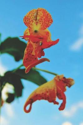 Cover of Orange Flowers Pretty Blank Lined Journal for daily thoughts notebook Lovely Lake Arrowhead Photograph