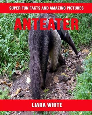 Book cover for Anteater