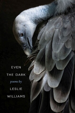 Cover of Even the Dark