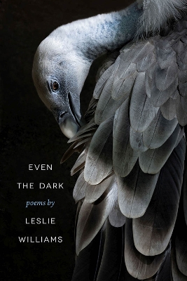 Book cover for Even the Dark