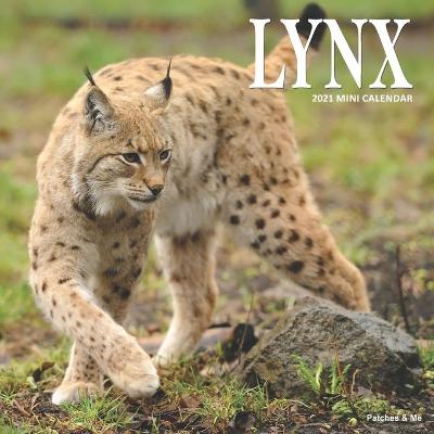 Book cover for Lynx