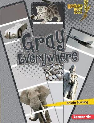 Book cover for Gray Everywhere