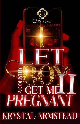 Book cover for I Let A Country Boy Get Me Pregnant 2