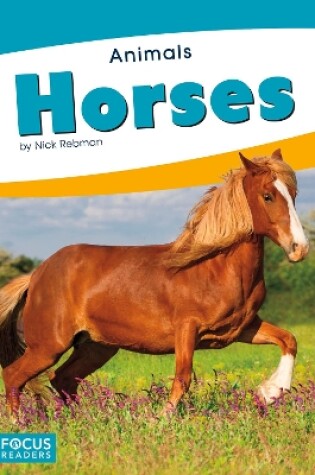 Cover of Animals: Horses