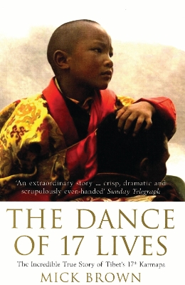 Book cover for The Dance of 17 Lives