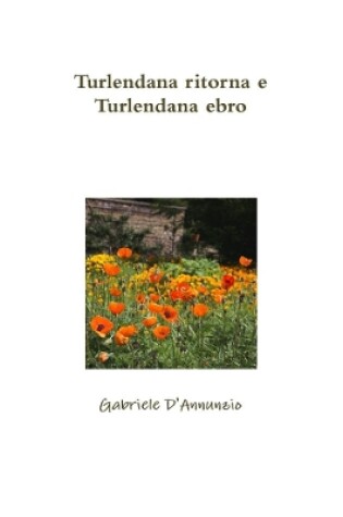 Cover of Turlendana ritorna e Turlendana ebro