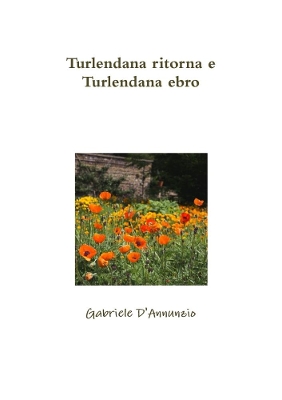 Book cover for Turlendana ritorna e Turlendana ebro