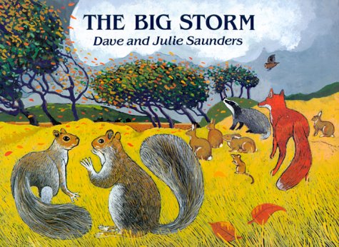 Book cover for The Big Storm